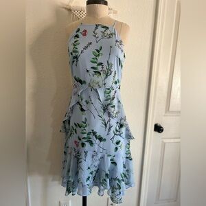 Banana Republic Women’s Chiffon Floral Ruffle High Low Blue Dress